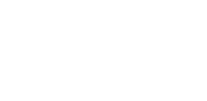 Audit IT logo